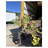 Niagara Grape Niagara Grape