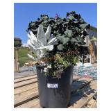 Flower Planter Flower Planter