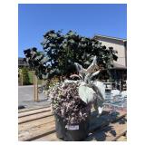 Flower Planter Flower Planter
