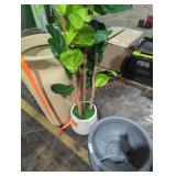 Green leaf tree