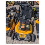 DeWalt Gas 21" Self Propelled Lawn Mower