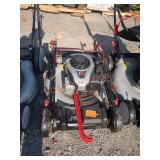 Murray E550 22" Gas Lawn Mower