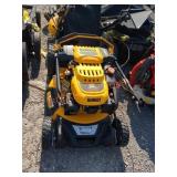 DeWalt Gas RWD 21" Self Propelled Lawn Mower