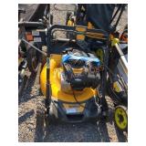 DeWalt Gas 21" Self Propelled Lawn Mower
