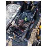 Echo Gas Lawn Mower