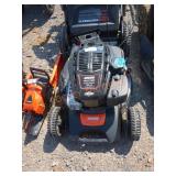 Echo Gas Lawn Mower