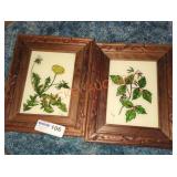 Plants Oil Paintings on Glass - Qty 2