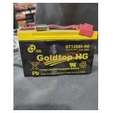 Goldtop hg 12v 8 ah battery