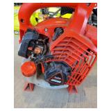Echo Gas Blower