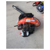 Echo Gas Powered Backpack Blower