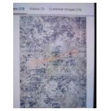 SAFAVIEH 6 ft. x 9 ft. Abstract Area Rug