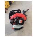 Echo Gas Powered Backpack Blower