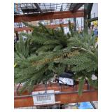 Sold As Is Where Is, No Guarantees No Returns,