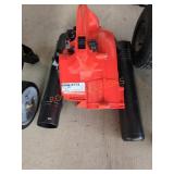 Echo Leaf Blower