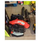 Echo Gas Backpack Blower