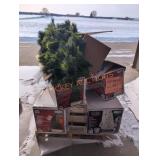 Christmas Trees Pallet Lot