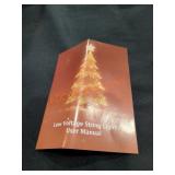 Low Voltage String Lights