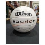 Wilson Indoor Volleyball