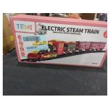Temi Electric Steam Train