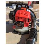 Echo Gas Powered Backpack Blower