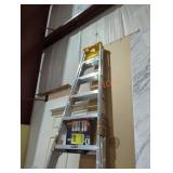 Werner 10 ft ladder