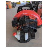Echo Gas Powered Backpack Blower