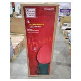 3ft Battery Operated LED Jumbo Bulb