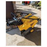 DeWalt 21" 208cc Snow Blower