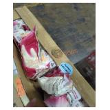 Box of HDX latex disposable gloves