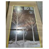 Pack of 3 birch trees