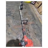 Echo Gas Powered Edger