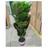 Artificial Fiddle Leaf Plant