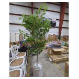 Artificial Tree w/ Woven Basket Planter