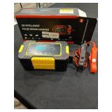 12V Intelligent Pulse Repair Charger