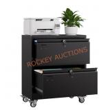 Hephastu Rolling 2-Drawer Metal Lateral File