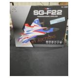 Pinecone Model Airplane