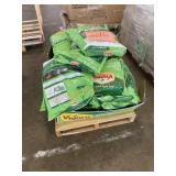 Vigoro Tall Fescue Blend Grass Seed