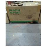 Ceiling Fan with Lights