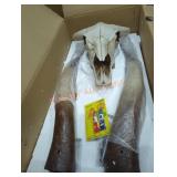 Long Horn Cow Skull Decor