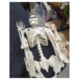 Posable skeleton