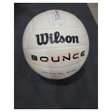 Wilson Volleyball