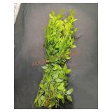 Artificial Greenery For Home Or Office Decor