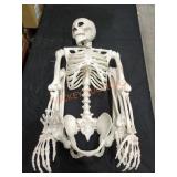 Pose & Stay Skeleton