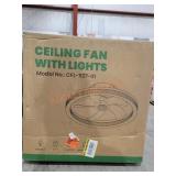 Ceiling Fan w Lights