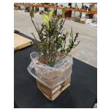 Sold As Is Where Is. No Guarantee or Returns.