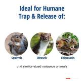 Havahart 17 X 5 X 5 Small Single Door Live Animal