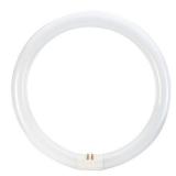 Philips 32w C-T9 Soft White G10q Circline Fluoresc
