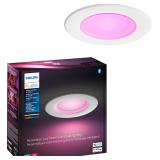 Philips Hue Ceiling Lamp