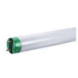 32-Watt 48 in. Linear T8 Fluorescent Tube Light Bu