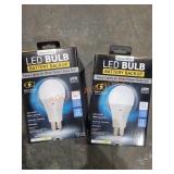2 LED Battery Backup Bulbs